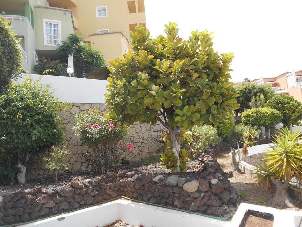 Orlando Apart Costa Adeje  Exterior foto